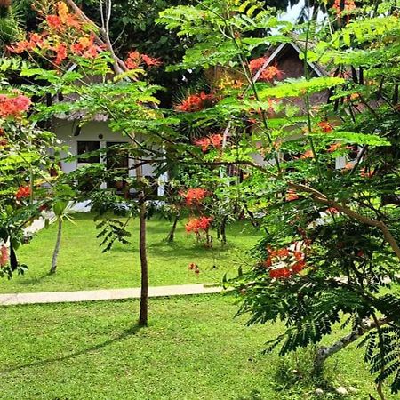 Namaste Bungalows Sakti Kültér fotó
